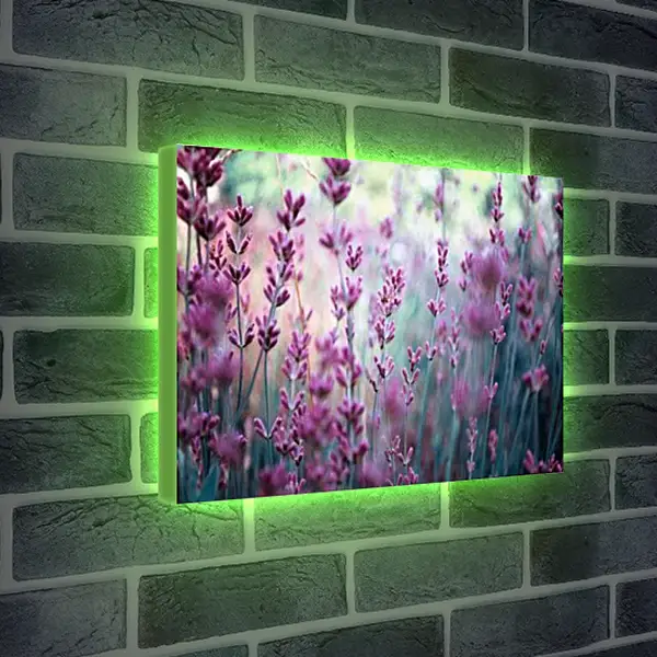 Лайтбокс световая панель - Лаванда