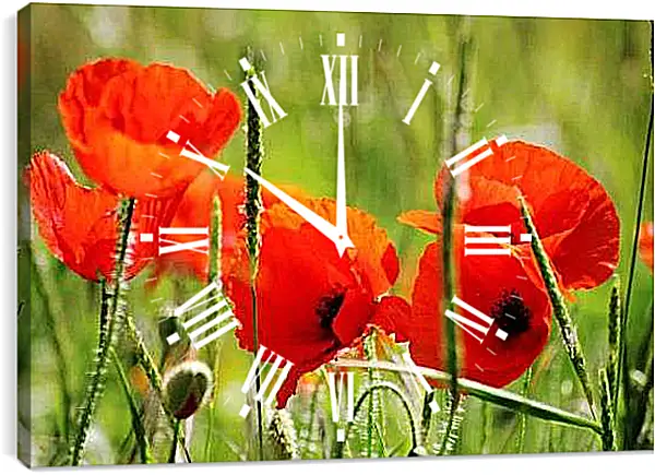 Часы картина - Маки в поле