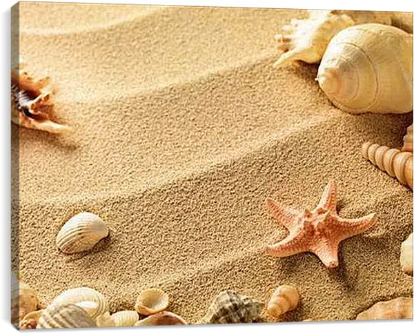 Постер на подрамнике - Ракушки на пляже