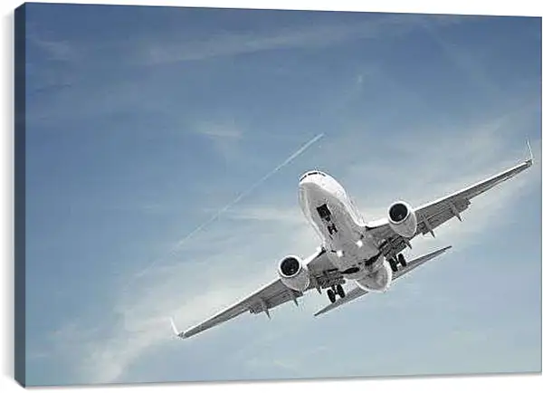 Постер на подрамнике - Посадка самолета