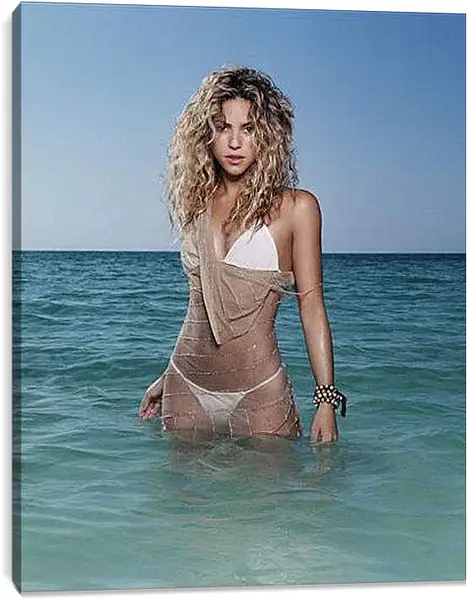 Постер на подрамнике - Shakira - Шакира
