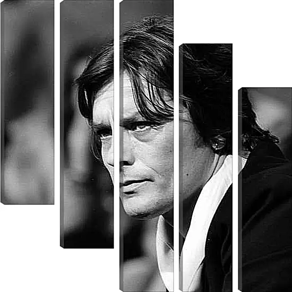 Модульная картина - Ален Делон. Alain Delon