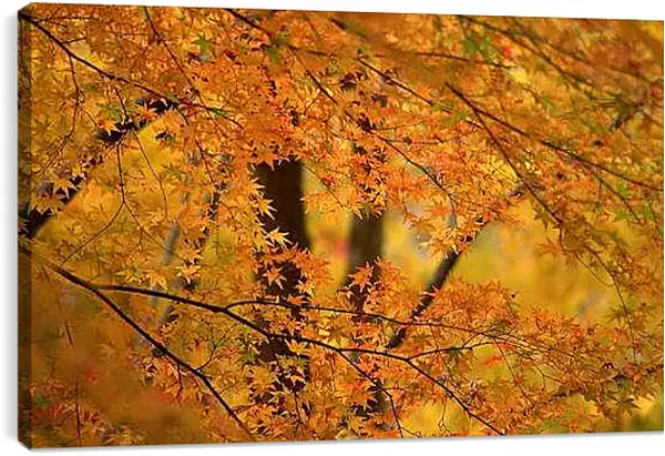 Постер на подрамнике - Осень