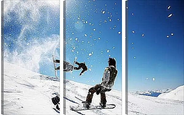 Модульная картина - Попытка синхронного прыжка