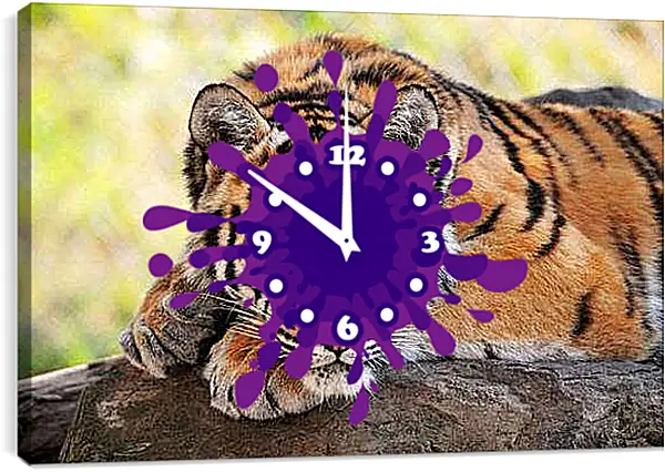 Часы картина - Бенгальский тигр отдыхает