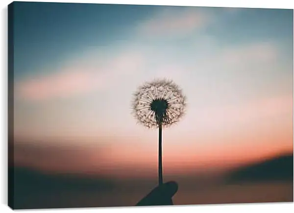 Постер на подрамнике - Одуванчик в руке