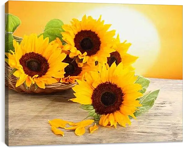 Постер на подрамнике - Подсолнухи