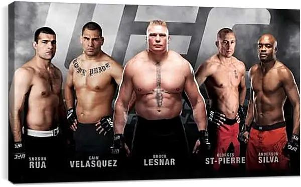 Постер на подрамнике - UFC. MMA. Брок Леснар.