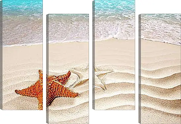 Модульная картина - Морская звезда