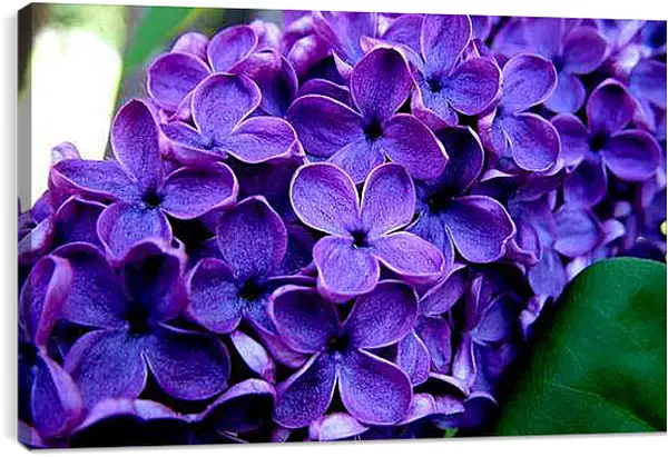 Постер на подрамнике - Весна