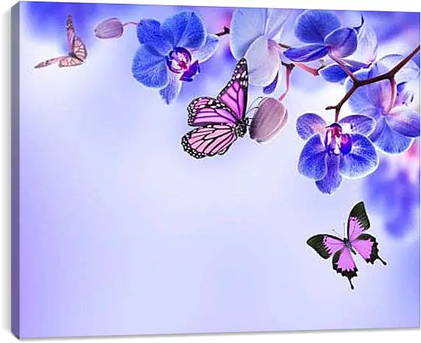 Постер на подрамнике - Бабочки и синие орхидеи