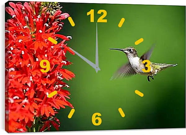Часы картина - Колибри