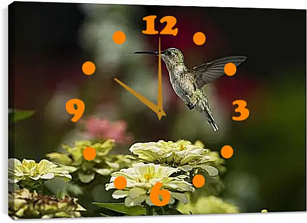Часы картина - Колибри