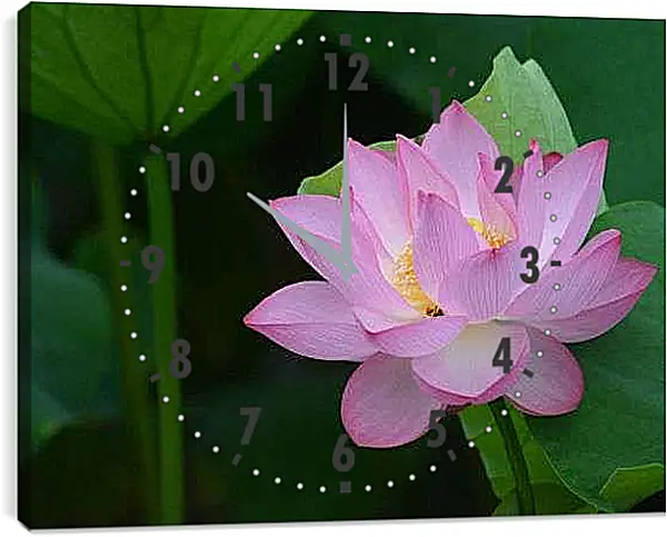 Часы картина - Лотос