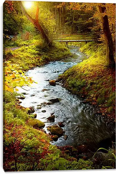 Постер на подрамнике - Ручеёк в лесу