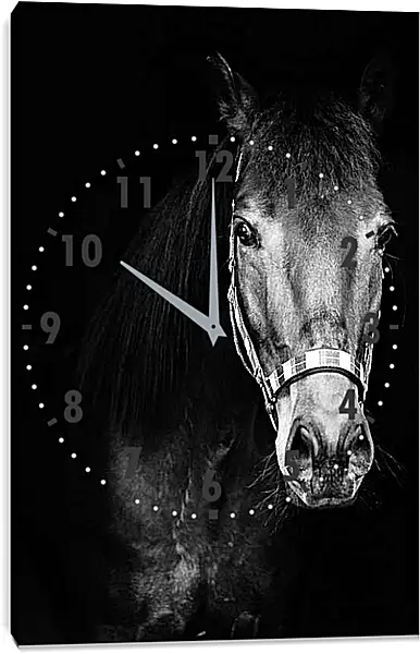 Часы картина - Чёрно-белая лошадь