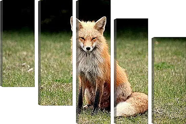 Модульная картина - Лисица