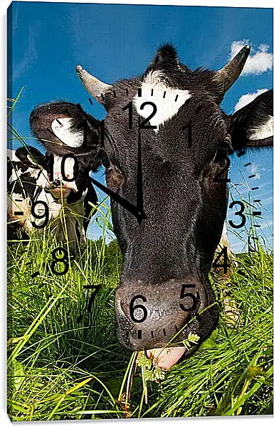 Часы картина - Коровушка
