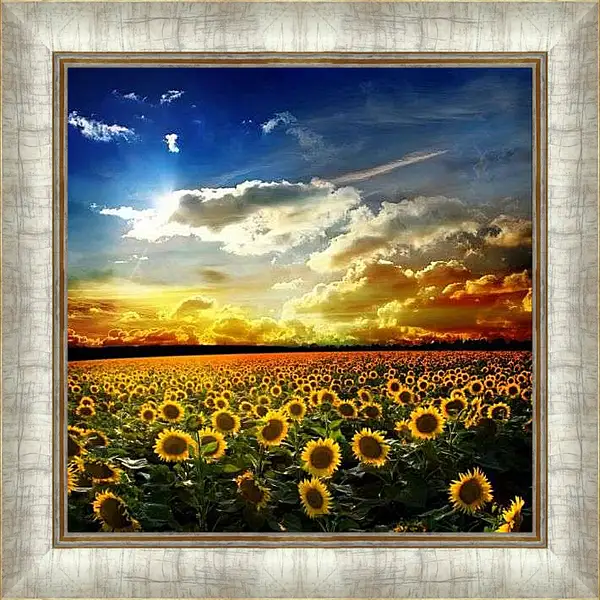 Картина в раме - Солнечное небо и поле подсолнухов