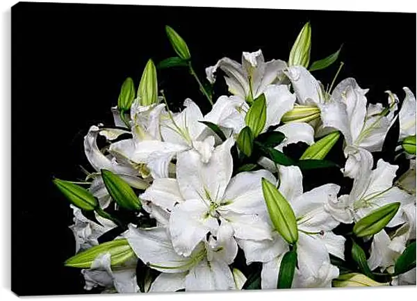 Постер на подрамнике - букет белых лилий