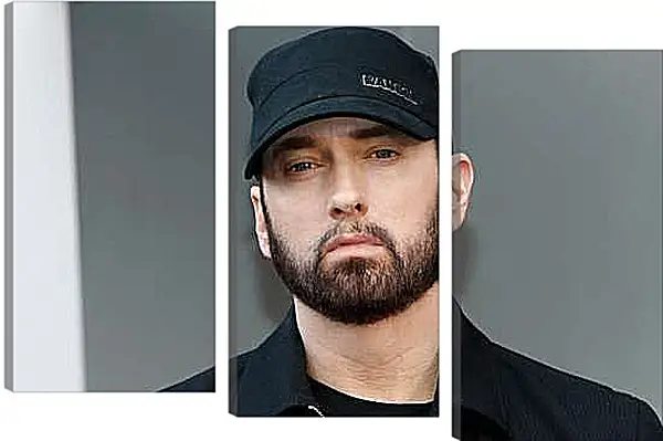 Модульная картина - Эминем. Eminem