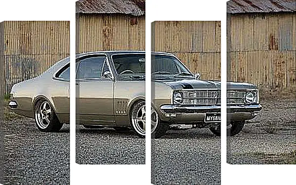 Модульная картина - Холден-Монаро