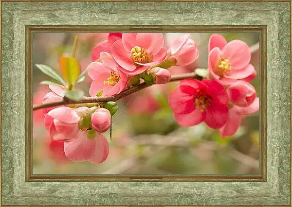 Картина в раме - Весна