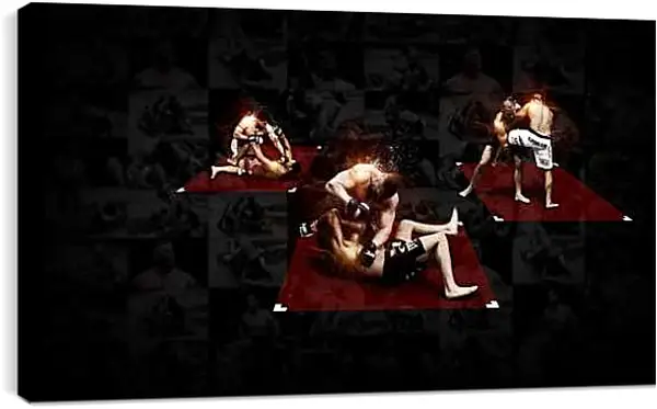 Постер на подрамнике - UFC. MMA. Приёмы.