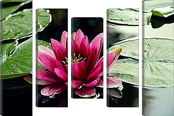 Модульная картина - Яркий лотос