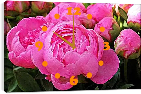 Часы картина - Пионы