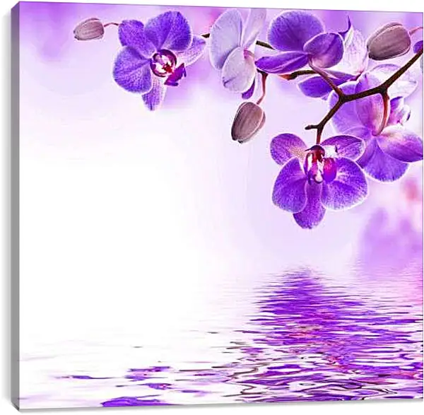 Постер на подрамнике - Фиолетовые орхидеи