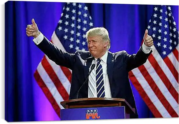 Постер на подрамнике - Дональд Трамп 45-й президент США
