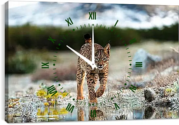 Часы картина - Рысь