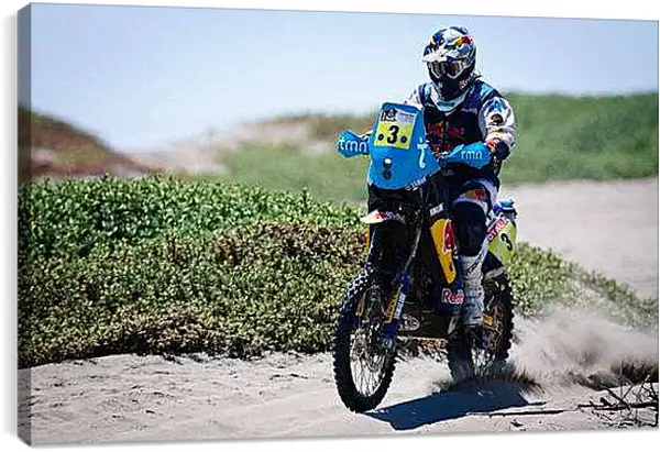 Постер на подрамнике - Спорт