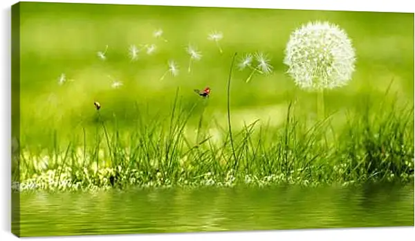 Постер на подрамнике - Одинокий белый одуванчик и божьи коровки