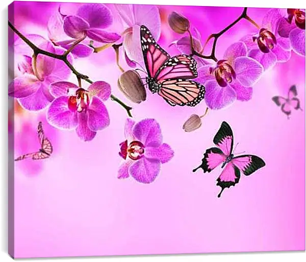 Постер на подрамнике - Розовые орхидеи и бабочки