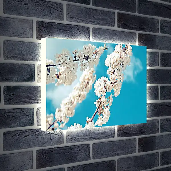 Лайтбокс световая панель - Весна