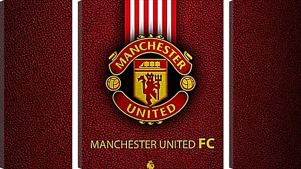 Модульная картина - Эмблема ФК Манчестер Юнайтед