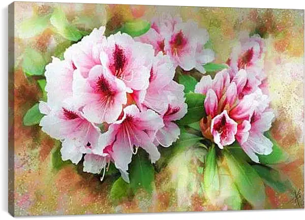 Постер на подрамнике - Красивые цветы