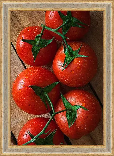 Картина в раме - Свежие томаты на ветке