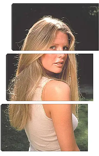 Модульная картина - Ким Бейсингер. Kim Basinger