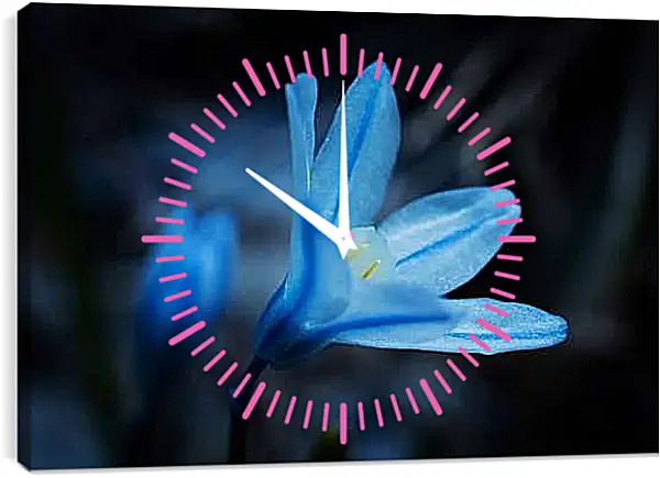 Часы картина - Хинодокса