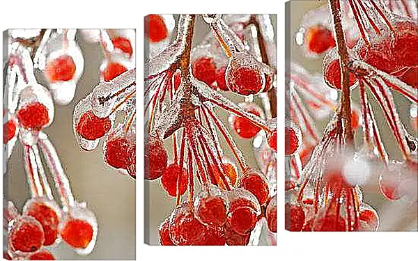 Модульная картина - Зима