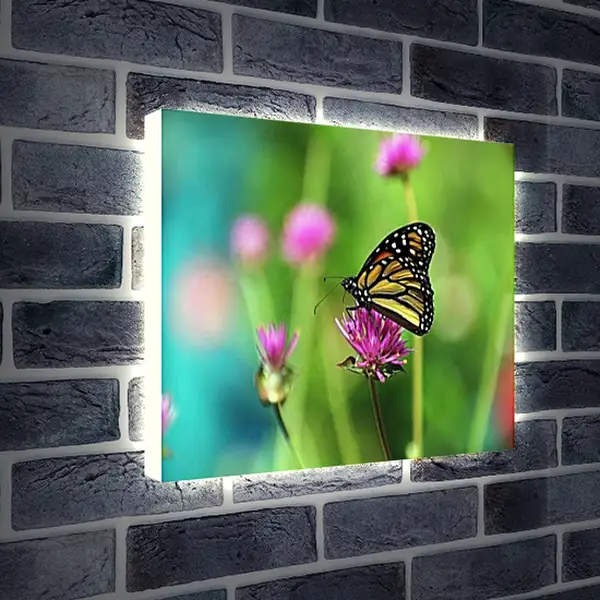Лайтбокс световая панель - Бабочка в поле