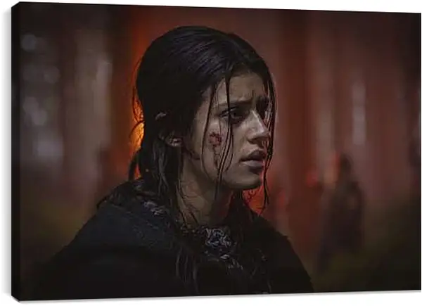 Постер на подрамнике - Ведьмак. The Witcher