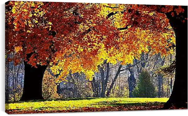 Постер на подрамнике - Осень