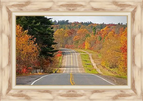 Картина в раме - Осень