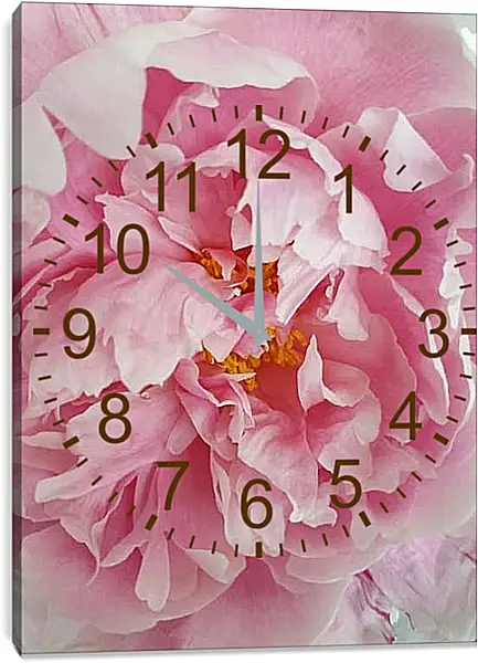 Часы картина - Пион розовый