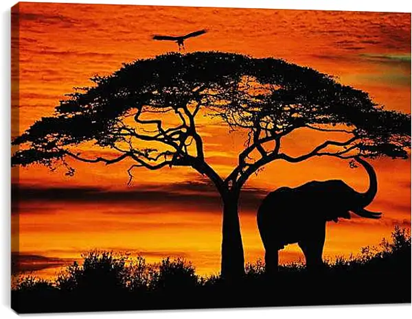 Постер на подрамнике - Африка. Закат