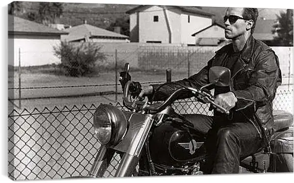 Постер на подрамнике - Арнольд Шварценеггер на мотоцикле. Терминатор 2